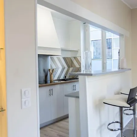 « verde » Au Coeur D'agen Apartment